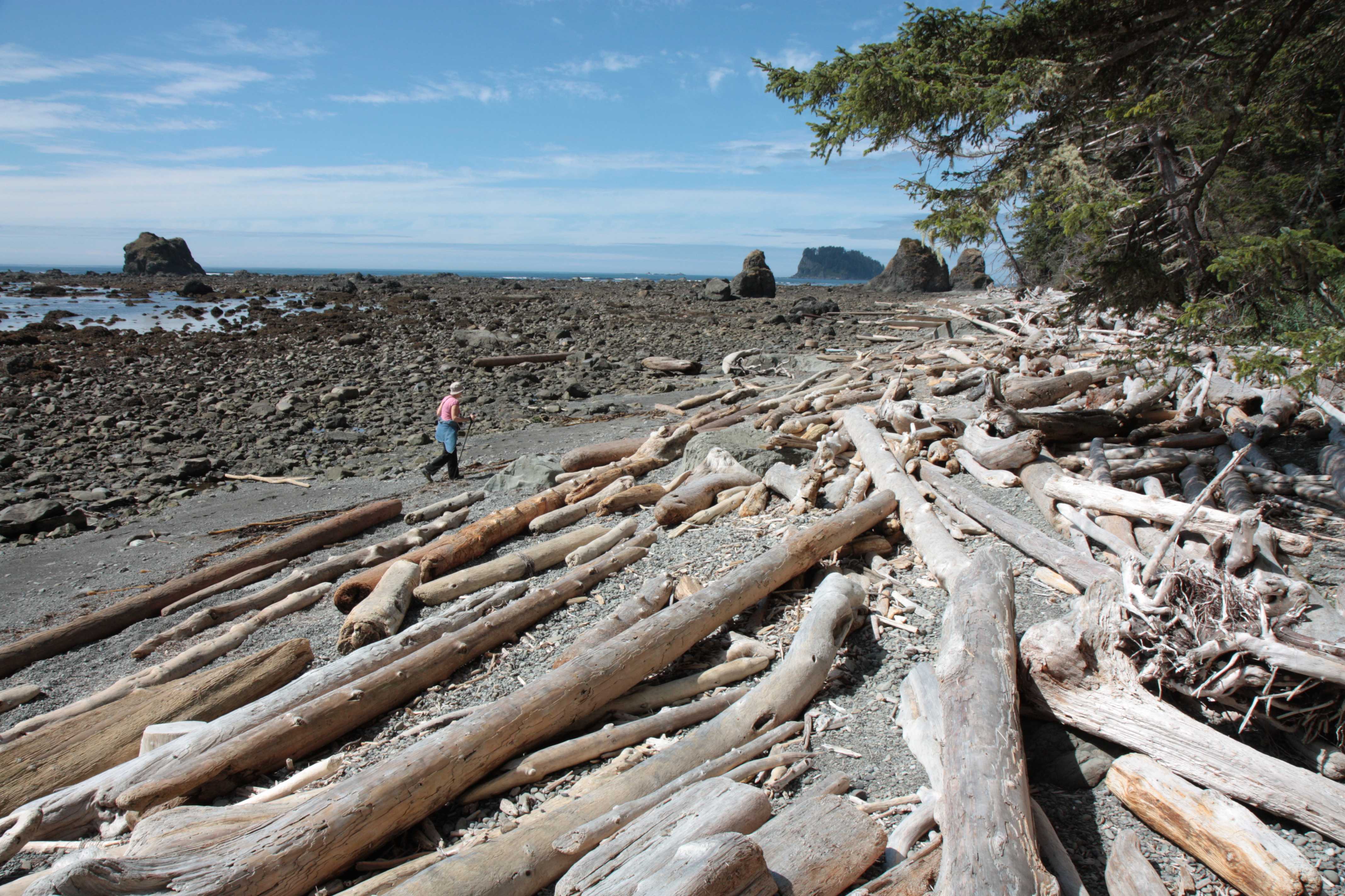 Olympic NP